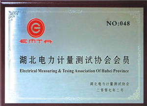 電力計(jì)量測(cè)試協(xié)會(huì)會(huì)員