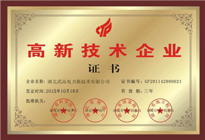 高新技術(shù)企業(yè)